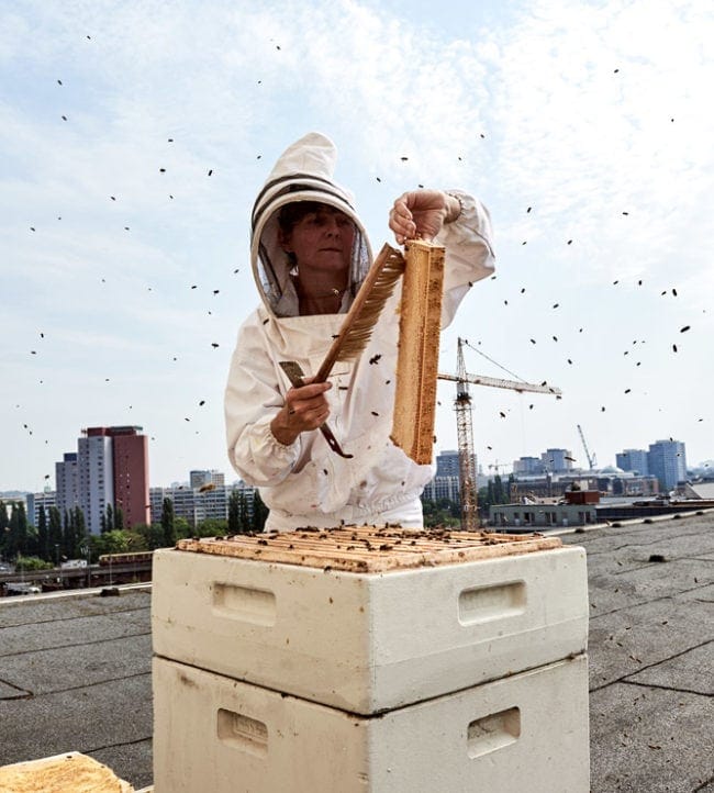 stadtbienen, bienen, stadtbienenhonig, erika mayr, honig, Saskia Uppenkamp; photographer; portrait; Berlin; Fotograf