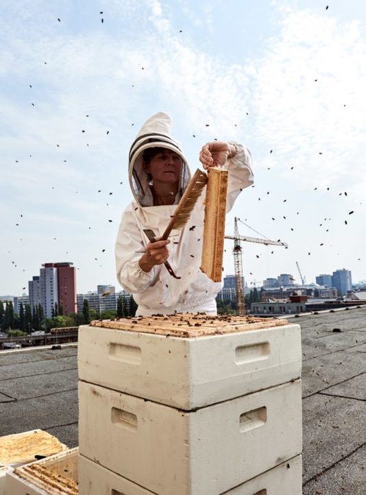 stadtbienen, bienen, stadtbienenhonig, erika mayr, honig, Saskia Uppenkamp; photographer; portrait; Berlin; Fotograf