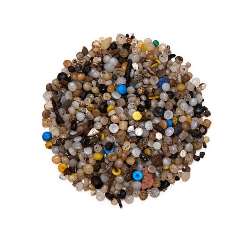 Ocean. Now. – In Your Face – Microplasticsamples