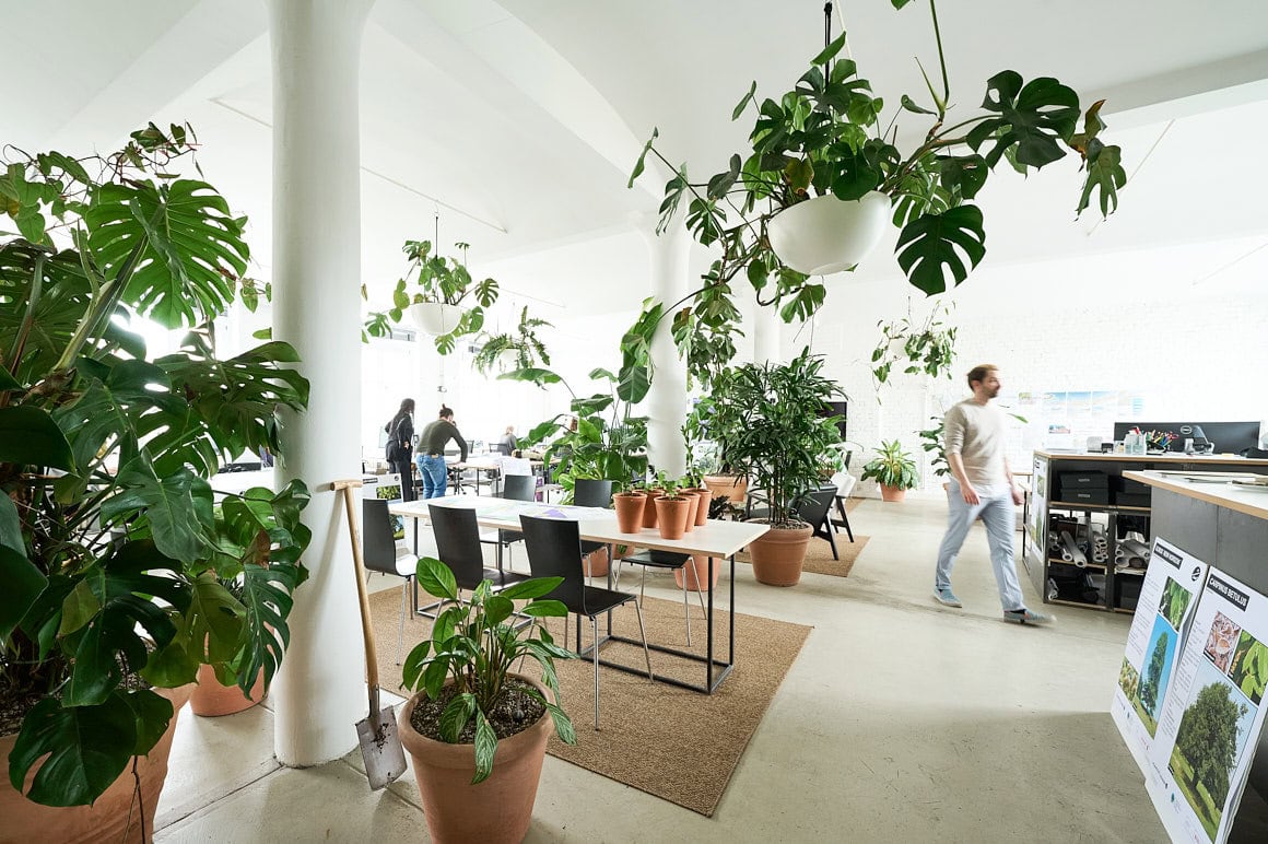 Saskia Uppenkamp | Stills & Motion Unternehmensfotografie Berliner Büro Planstatt Senner