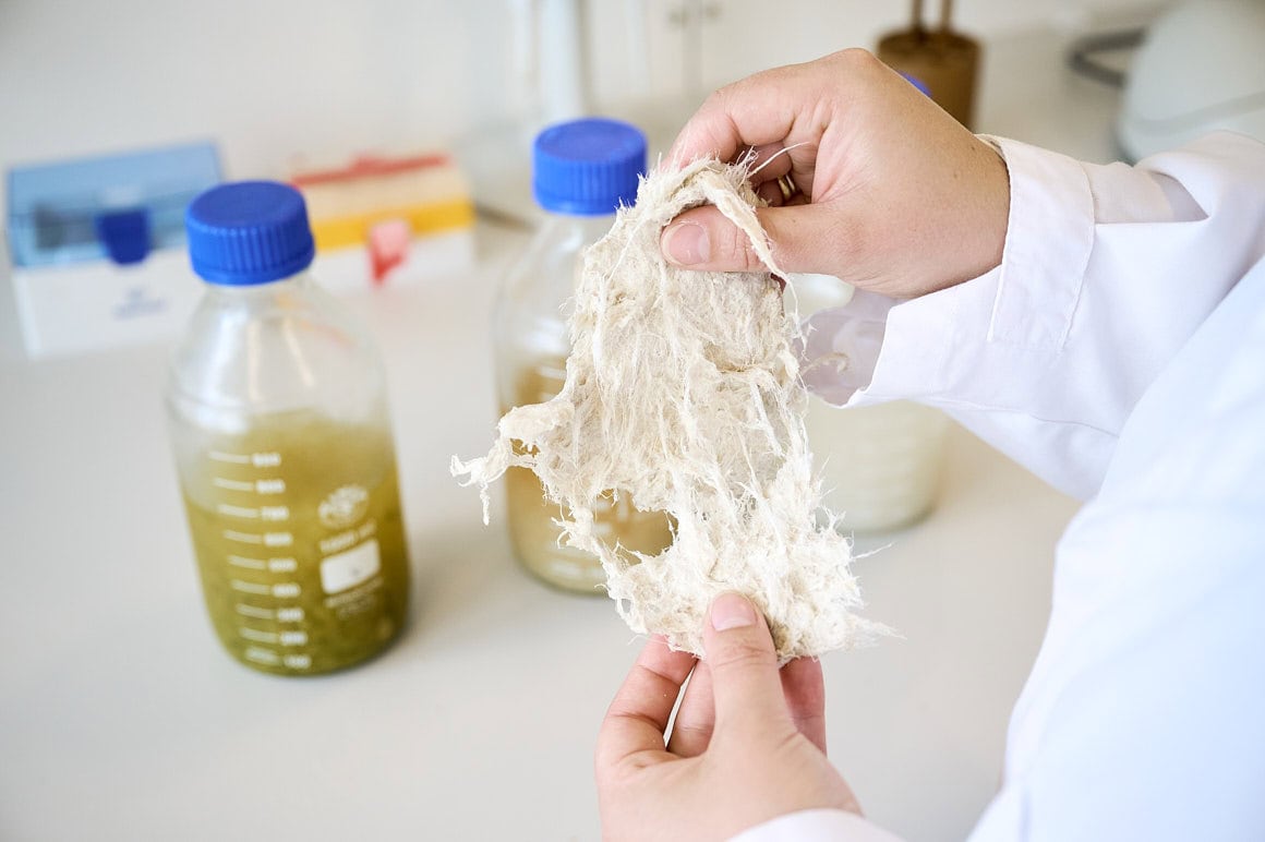 Saskia Uppenkamp | Stills and Motion – EcoFibr Unternehmensfotografie Corporate Fotograf, Businessfoto, Corporate Publishing, Ecofibr