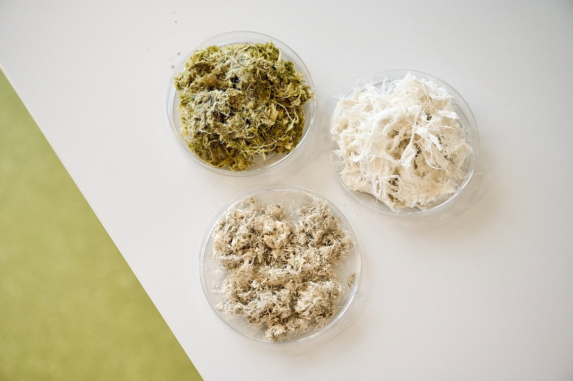 Saskia Uppenkamp | Stills and Motion – EcoFibr Unternehmensfotografie Corporate Fotograf, Businessfoto, Corporate Publishing, Ecofibr