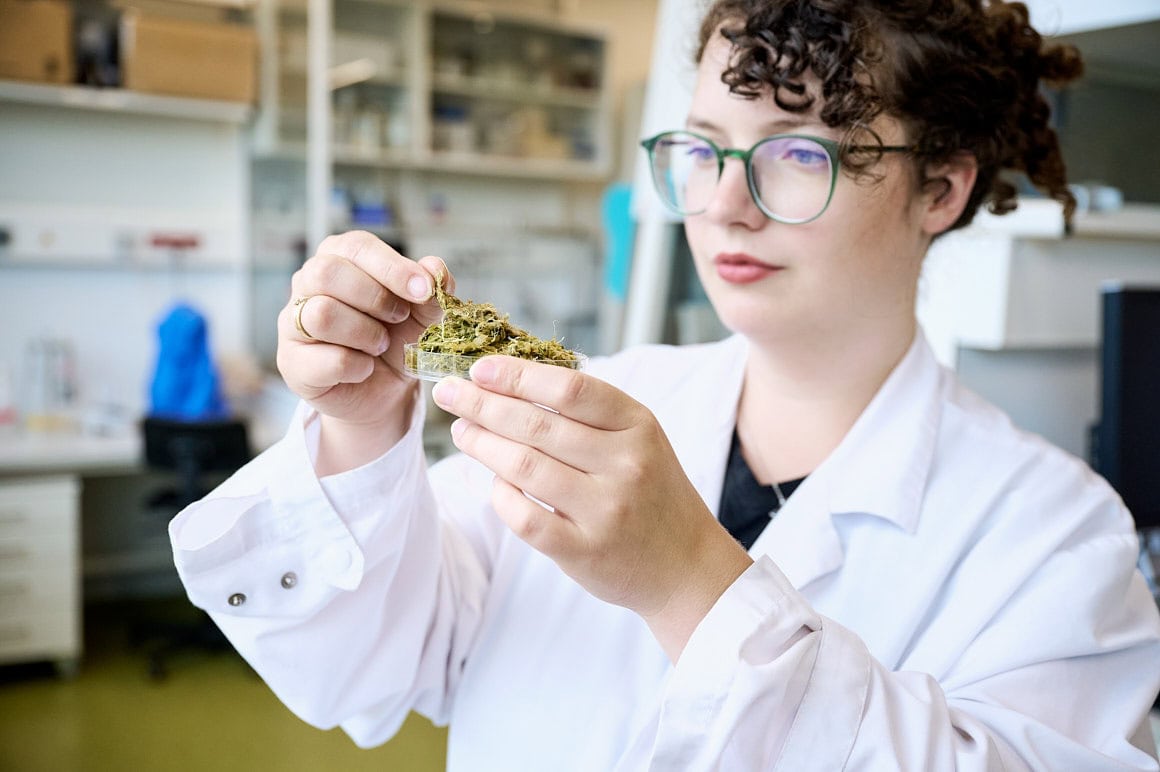 Saskia Uppenkamp | Stills and Motion – EcoFibr Unternehmensfotografie Corporate Fotograf, Businessfoto, Corporate Publishing, Ecofibr